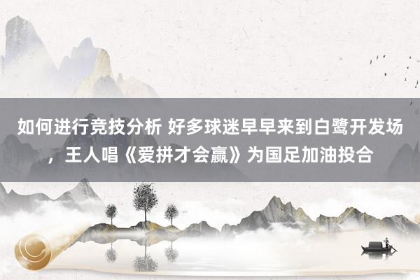 如何进行竞技分析 好多球迷早早来到白鹭开发场，王人唱《爱拼才会赢》为国足加油投合