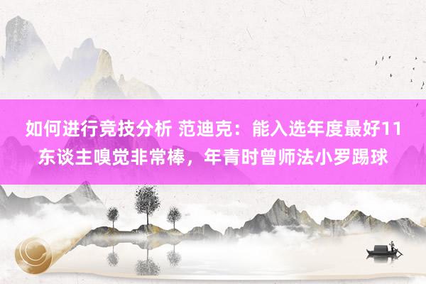 如何进行竞技分析 范迪克：能入选年度最好11东谈主嗅觉非常棒，年青时曾师法小罗踢球