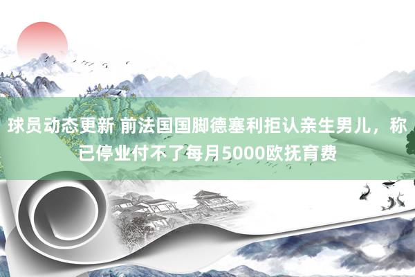 球员动态更新 前法国国脚德塞利拒认亲生男儿，称已停业付不了每月5000欧抚育费