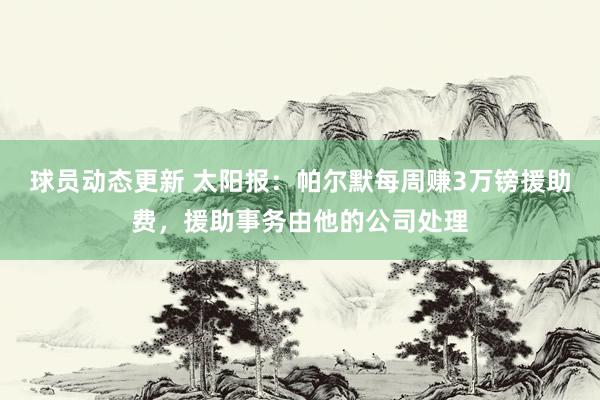 球员动态更新 太阳报：帕尔默每周赚3万镑援助费，援助事务由他的公司处理