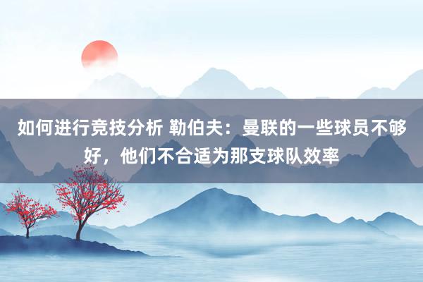 如何进行竞技分析 勒伯夫：曼联的一些球员不够好，他们不合适为那支球队效率