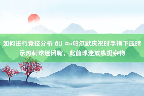 如何进行竞技分析 🤫帕尔默庆祝时手指下压暗示热刺球迷闭嘴，此前球迷放纵扔杂物