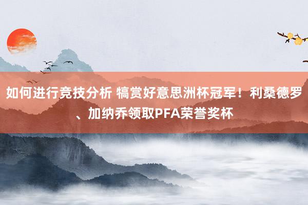 如何进行竞技分析 犒赏好意思洲杯冠军！利桑德罗、加纳乔领取PFA荣誉奖杯